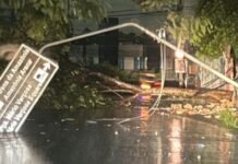 Temporal derruba árvore e causa transtornos na Zona Centro-Oeste de Manaus