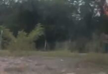 Homens são flagrados em ato sexual em matagal perto do Distrito Industrial em Manaus