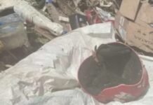 Perna humana é encontrada durante limpeza de igarapé em Manaus