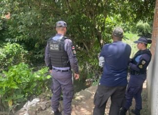 Segunda perna humana é encontrada na Zona Norte de Manaus