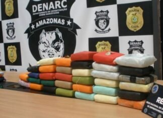 Carga de drogas avaliada em R$ 1,6 milhão é apreendida em Manaus