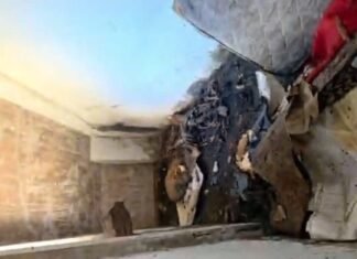 Restos mortais são encontrados em prédio histórico abandonado no Centro de Manaus