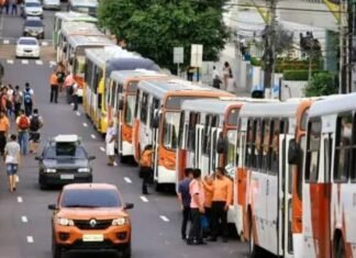 Ônibus voltam a circular após justiça limitar greve em Manaus