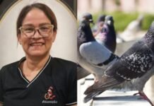 Professora morre após contrair doença associada a fezes de pombos em escola de Manaus